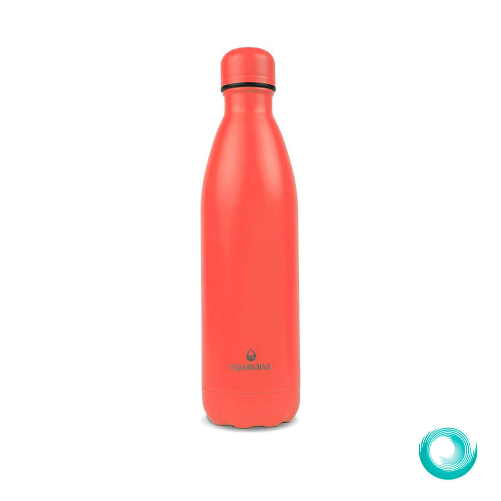 Botella de Acero Inoxidable de 750 ml