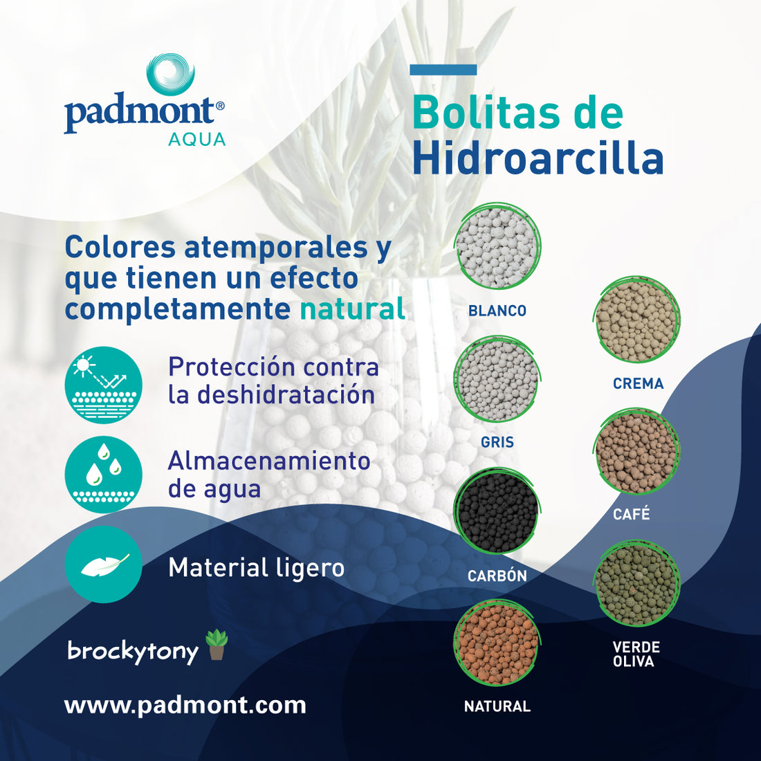 Brockytony Arcilla Expandida
