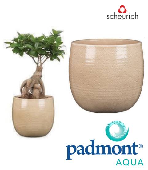 Maceta Cerámica 765/15 Glazing Sand - Scheurich