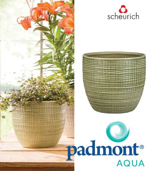 Maceta Cover Pot Corteza Menta 866/19 - Scheurich