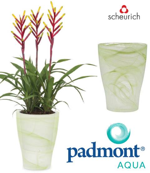 Maceta para Orquídea Giro de Hierba - Scheurich